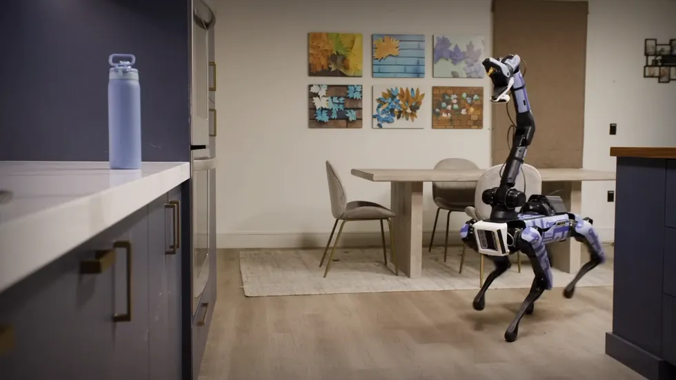 صورة الفيديو